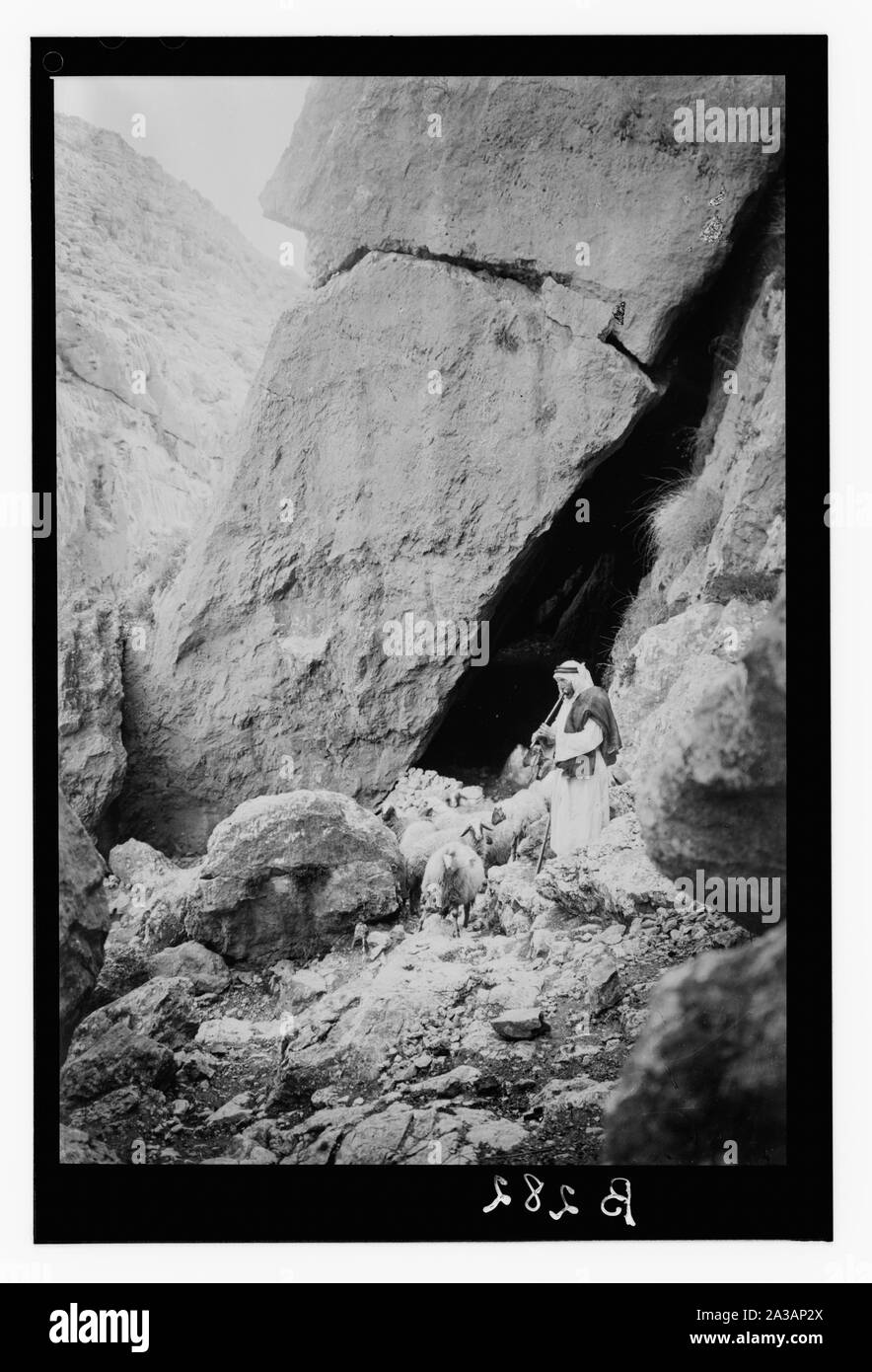 Satz von dreizehn wählen Sie Folien von Hirten leben, die die Xxiii. Psalm. Fürchte ich kein Unglück, denn du bist mit mir Stockfoto