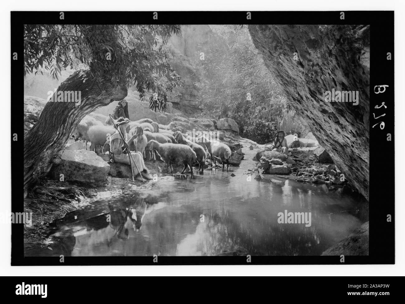 Satz von dreizehn wählen Sie Folien von Hirten leben, die die Xxiii. Psalm. Der Herr ist mein Hirte Stockfoto