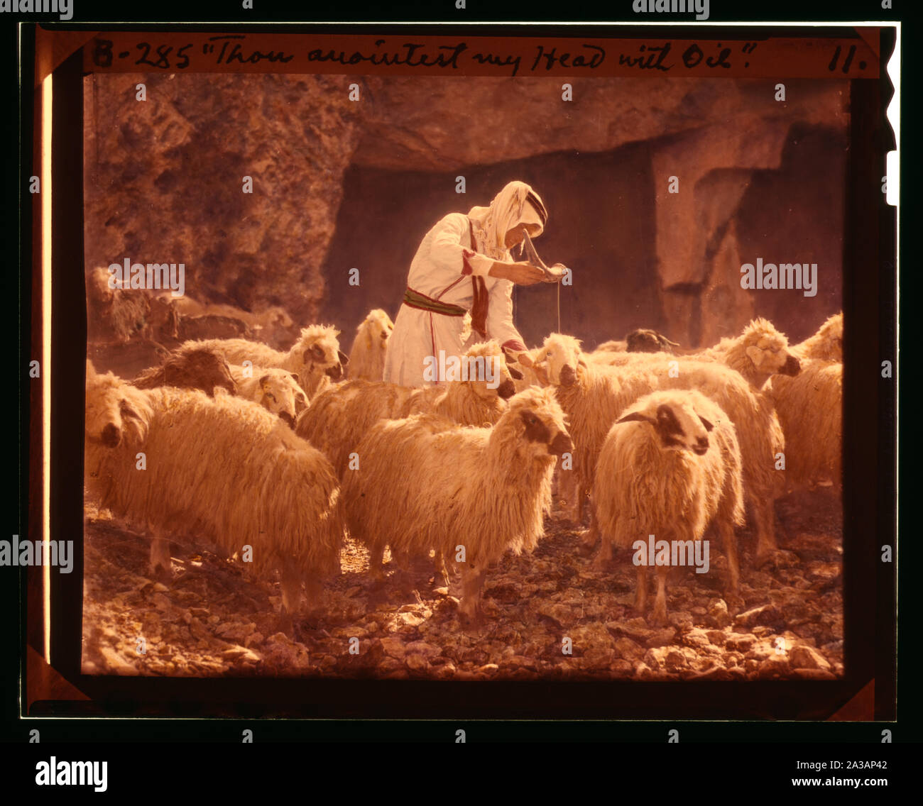 Satz von dreizehn wählen Sie Folien von Hirten leben, die die Xxiii. Psalm. Du anointest mein Haupt mit Öl Stockfoto