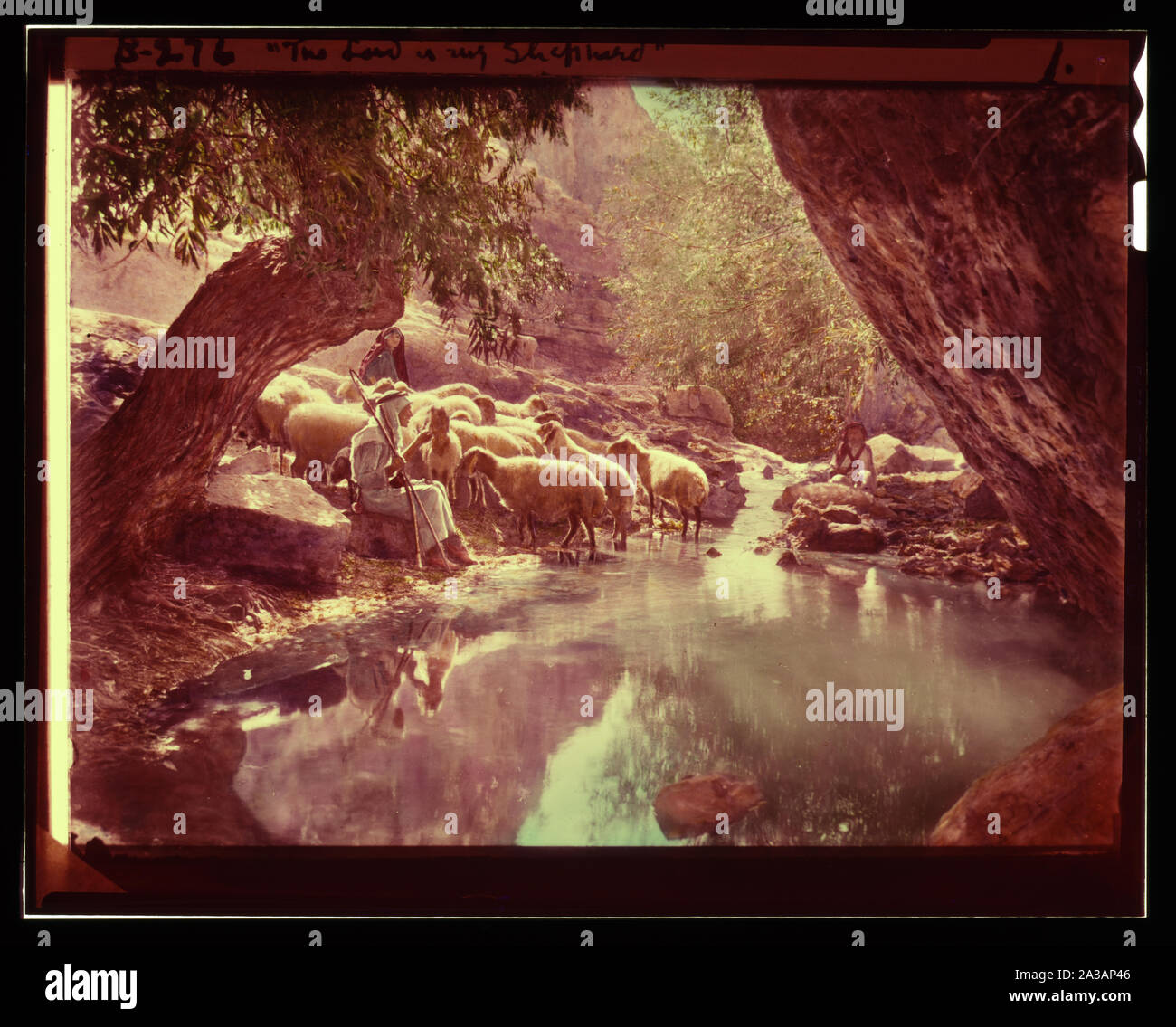 Satz von dreizehn wählen Sie Folien von Hirten leben, die die Xxiii. Psalm. Der Herr ist mein Hirte Stockfoto