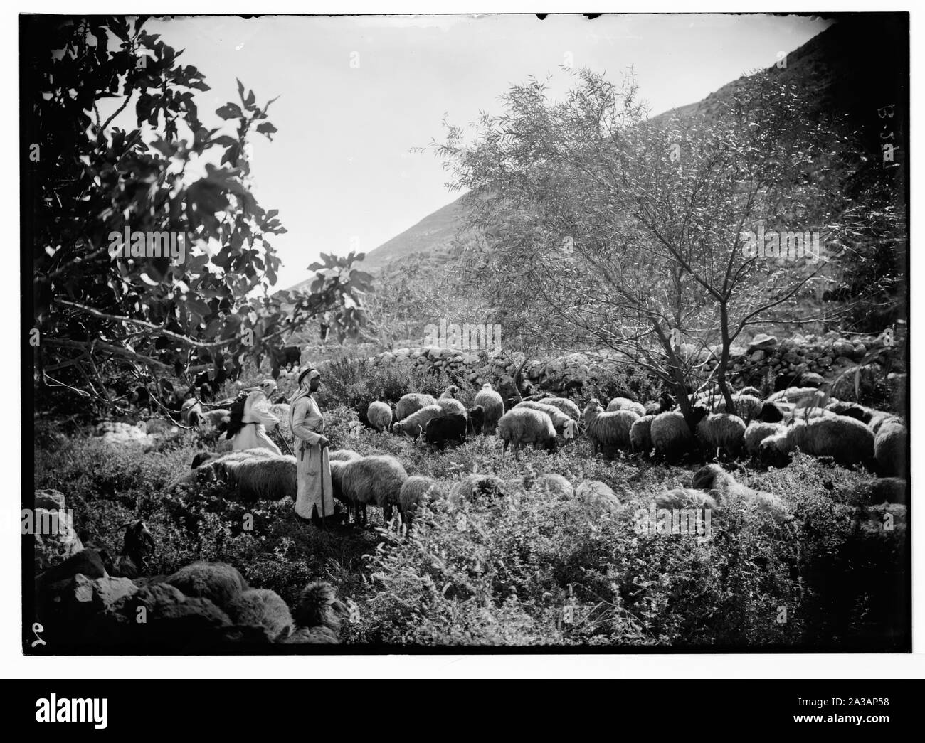 Satz von dreizehn wählen Sie Folien von Hirten leben, zur Veranschaulichung der Dreiundzwanzigsten Psalms. Er weidet mich auf grüner Aue zu liegen. Stockfoto