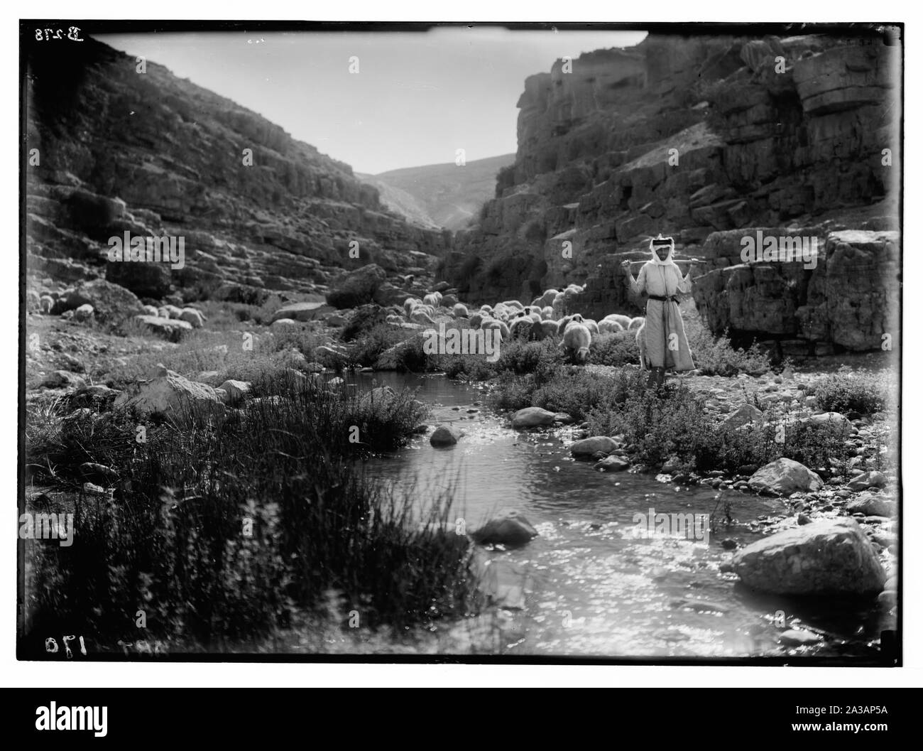Satz von dreizehn wählen Sie Folien von Hirten leben, zur Veranschaulichung der Dreiundzwanzigsten Psalms. Er führt mich zum Ruheplatz am Wasser. Stockfoto