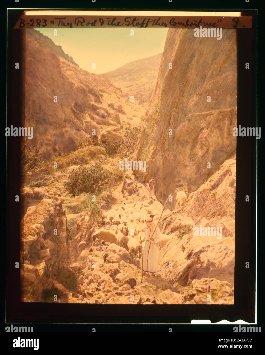 Satz von dreizehn wählen Sie Folien von Hirten leben, die die Xxiii. Psalm. Dein Stecken und dein Stab trösten mich Stockfoto