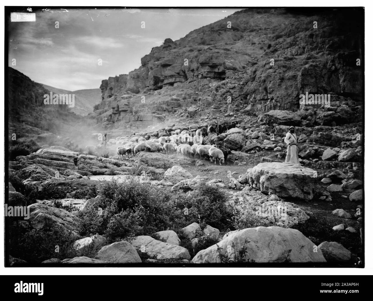 Satz von dreizehn wählen Sie Folien von Hirten leben, zur Veranschaulichung der Dreiundzwanzigsten Psalms. Ja, wenn ich wandere im Tal. Stockfoto