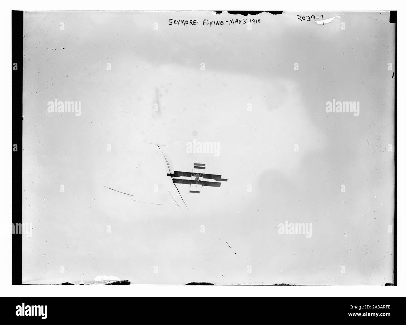 Seymore fliegen Stockfoto