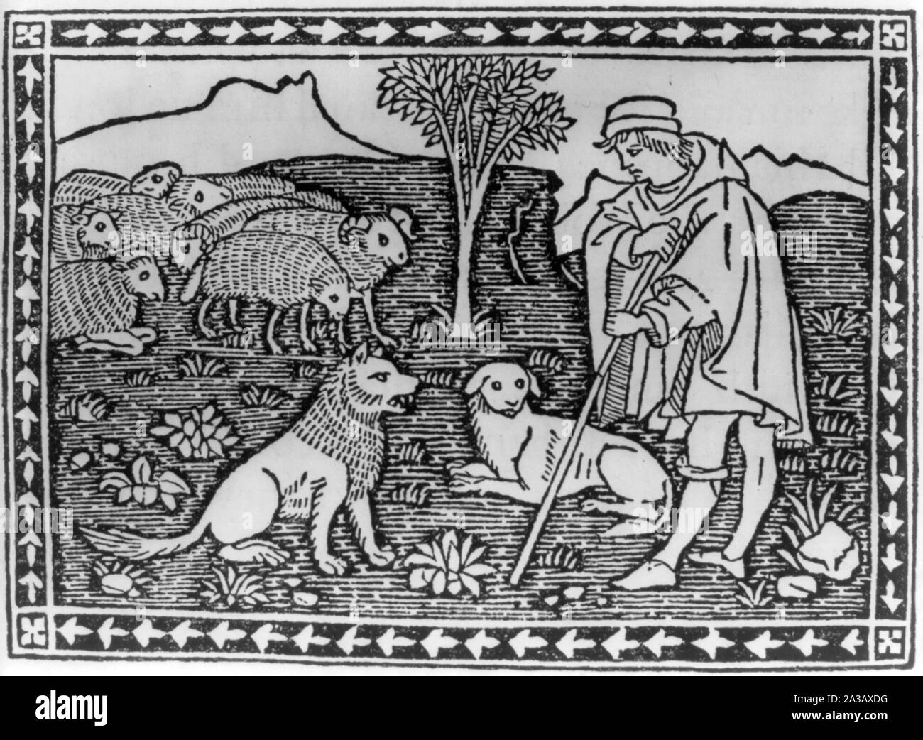 Hirten, Schafe und 2 Hunde Stockfoto