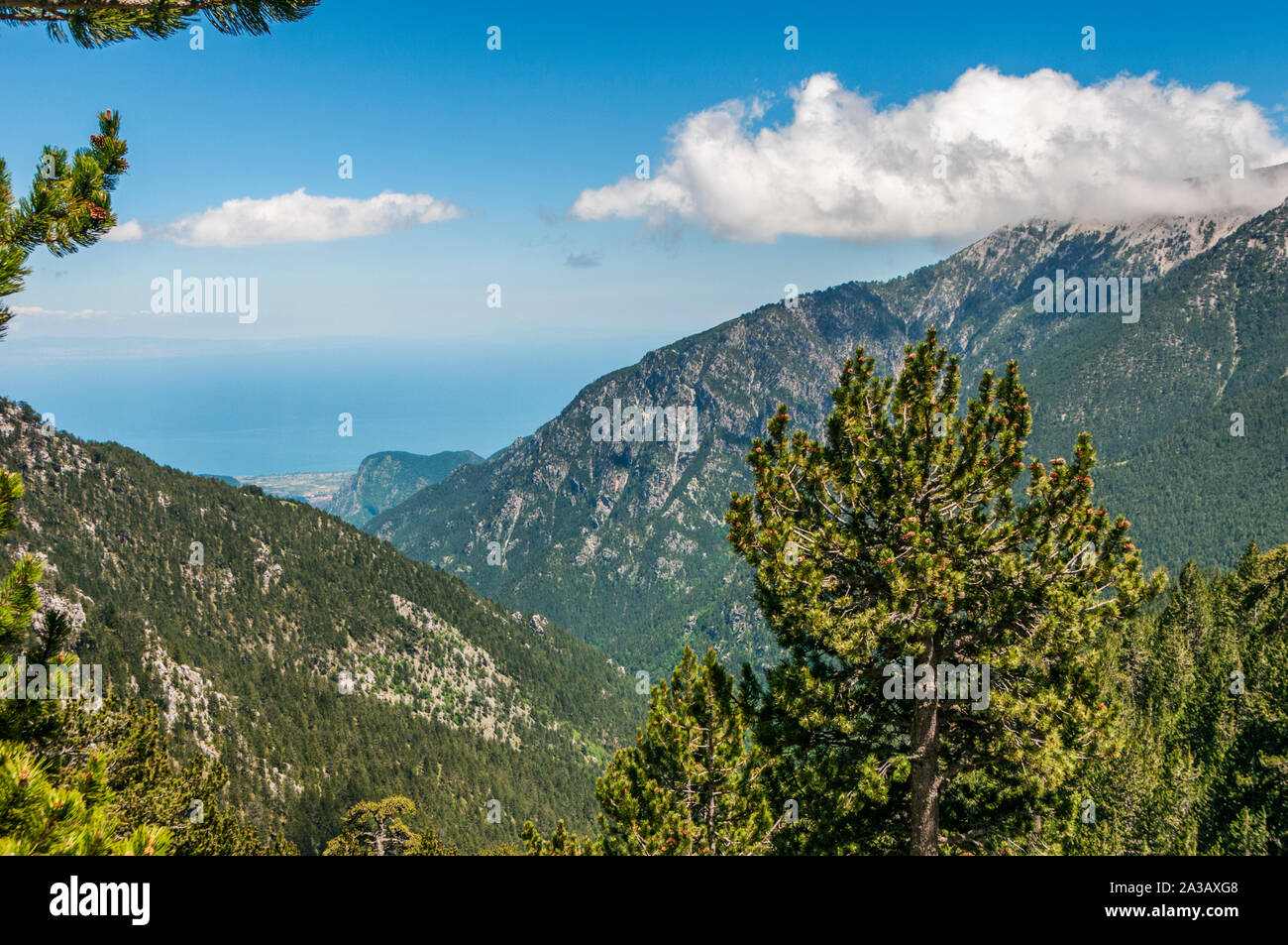 Blick von der Europäischen Wanderweg E4 in Berg Olymp in Griechenland  Stockfotografie - Alamy
