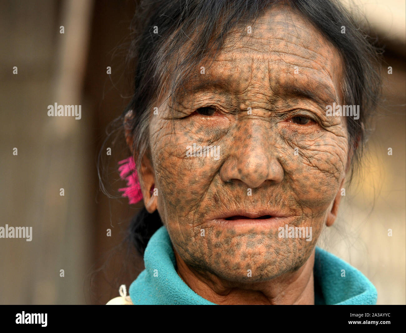 Alte Kinn Kaang tribal Frau mit gepunkteten facial Tattoo und lebte - Gesicht posiert für die Kamera (Kopf geschossen). Stockfoto