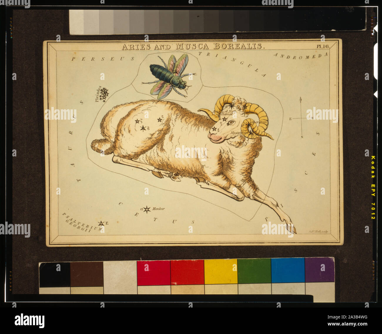 Aries und Musca Borealis, Platte 16 in Urania's Mirror, ein Set von Himmelskörpern Karten durch eine vertraute Abhandlung über Astronomie begleitet ... mit Joschafat Aspin. London. Astronomische Diagramm, 1 Drucken auf mehreren Ebenen Papier board: Radierung, von Hand gefärbt.; Stockfoto