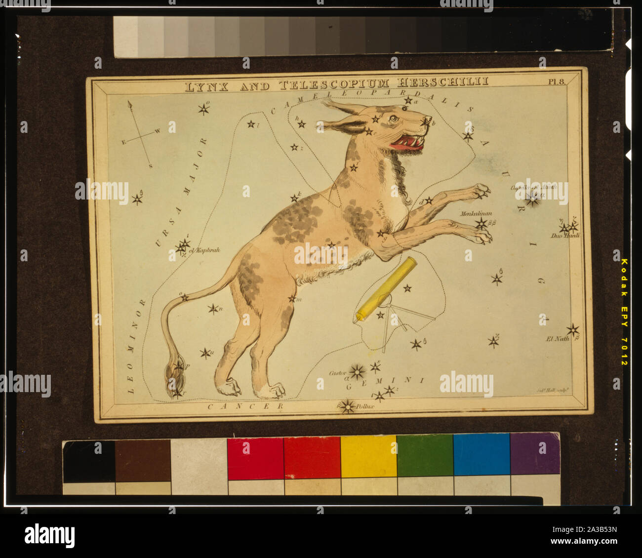 Lynx und Telescopium Herschilii, Platte 8 in Urania's Mirror, ein Set von Himmelskörpern Karten durch eine vertraute Abhandlung über Astronomie begleitet ... mit Joschafat Aspin. London. Astronomische Diagramm, 1 Drucken auf mehreren Ebenen Papier board: Radierung, von Hand gefärbt.; Stockfoto