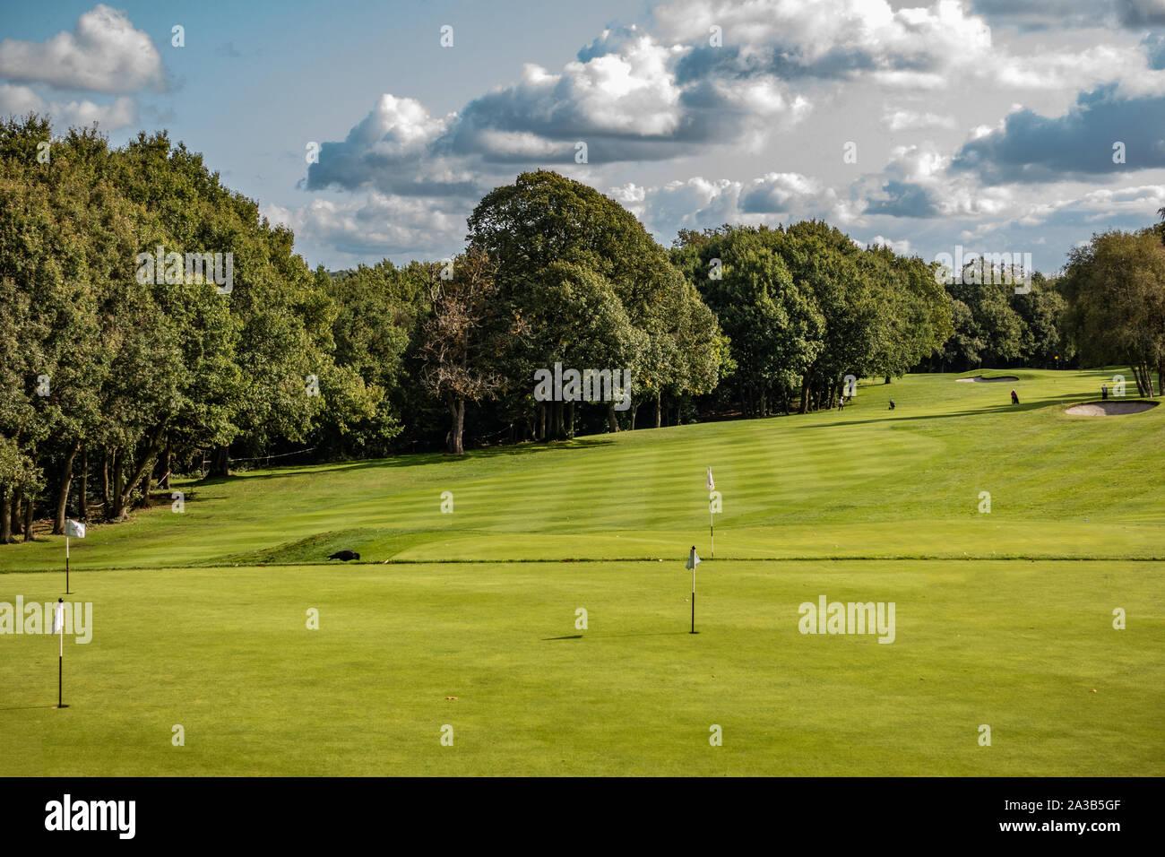 Edgbaston Golf Club Golf Course Stockfoto