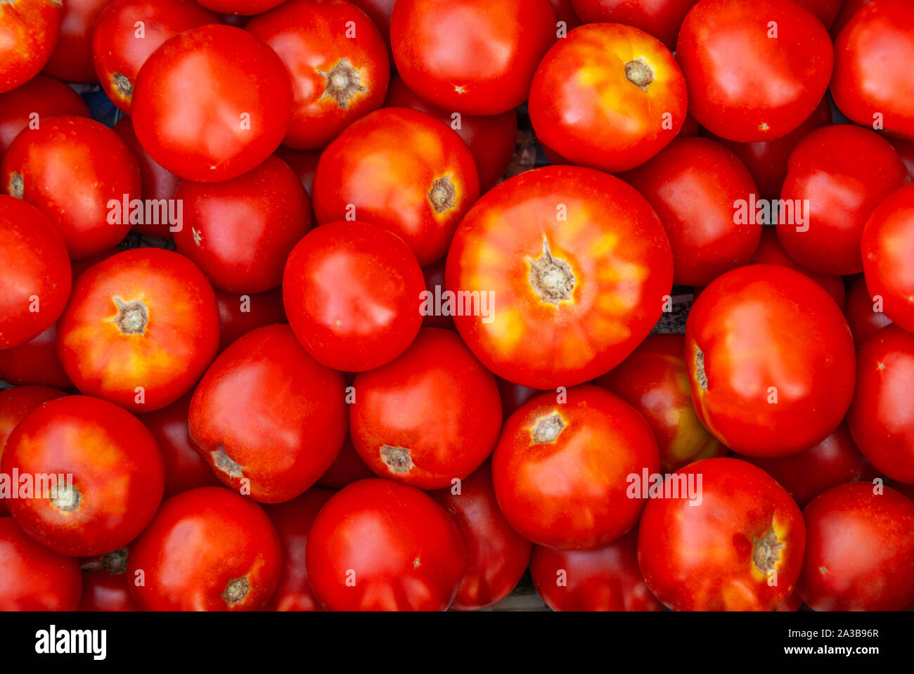 Ein Haufen von Tomaten Nahaufnahme Stockfoto