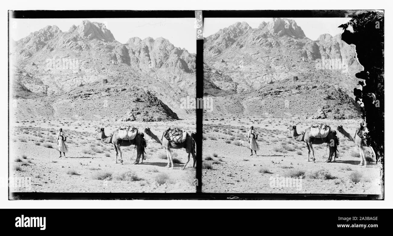 Sinai Stockfoto