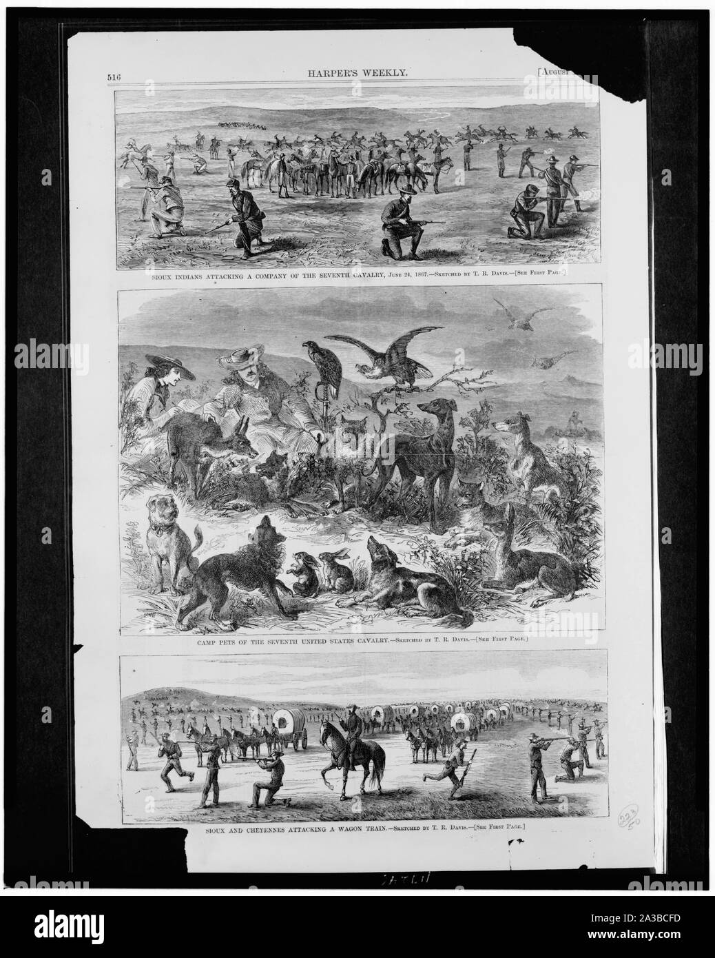 Sioux Indianer Angriff auf ein Unternehmen der siebten Kavallerie, Juni 24, 1867 Camp Haustiere des Siebten United States Kavallerie; Sioux, Cheyennes Angriff auf einen Waggon Zug // Gezeichnet von T.R. Davis. Stockfoto