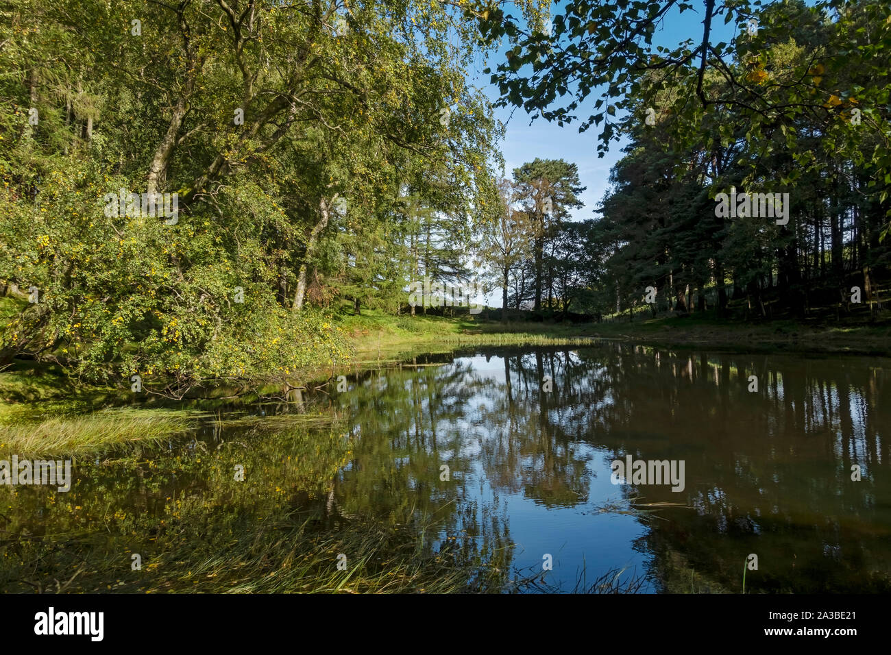 Lanty's Tarn im Sommer Birkhouse Moor in der Nähe von Glenridding Lake District National Park Cumbria England Großbritannien GB Großbritannien Stockfoto