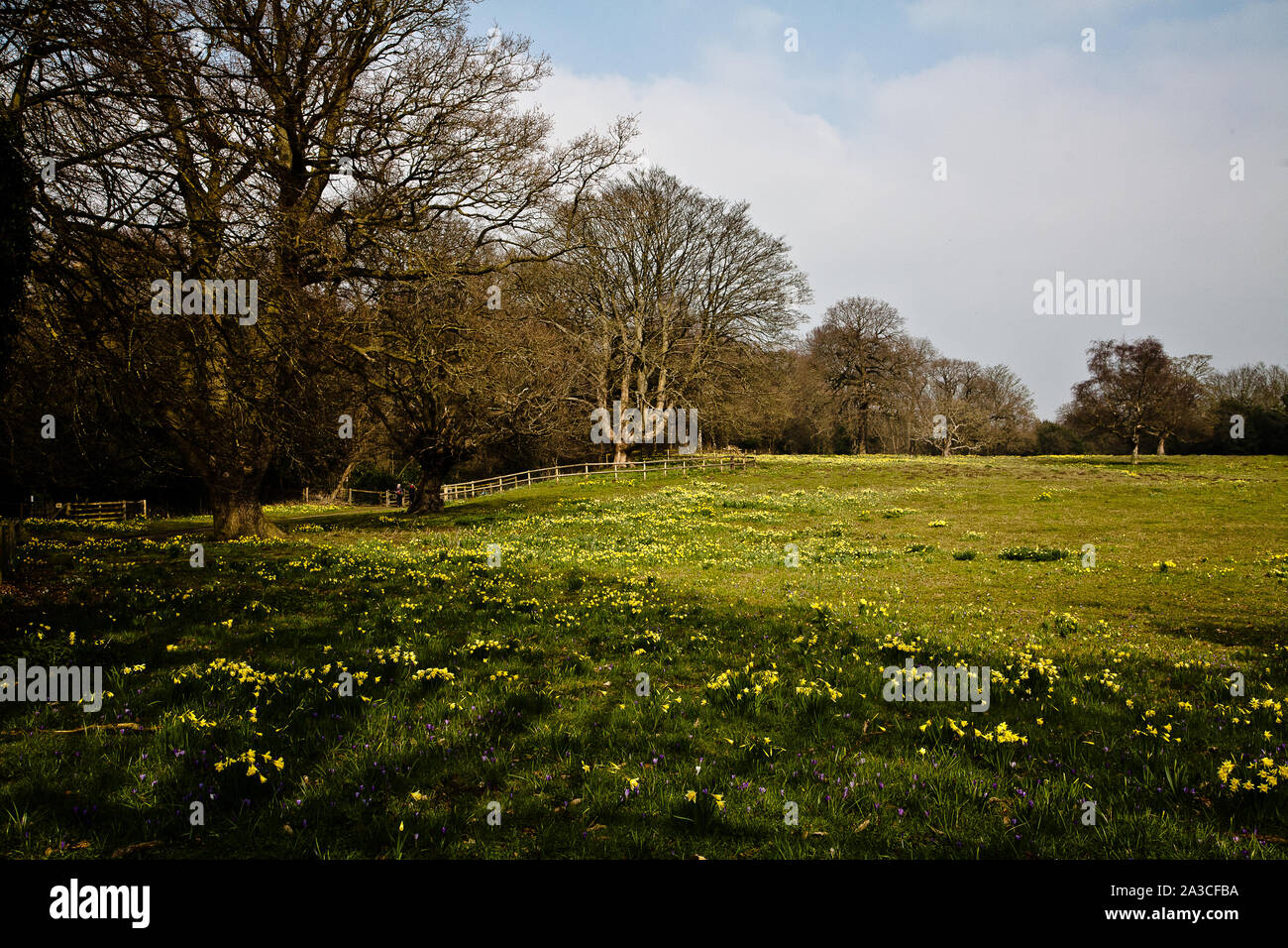 Warley Place Stockfoto