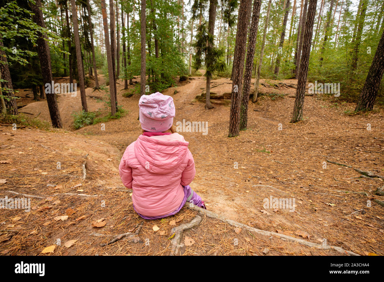 Ansicht der Rückseite ein 4 Jahre altes Kind Mädchen in rosa warme Kleidung sitzt in einem Wald auf einem Stimmungsvollen Tag im Oktober in Deutschland und mit einer Unterbrechung und Wat Stockfoto