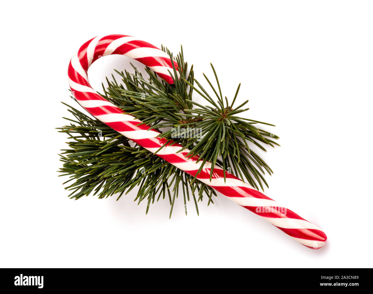 Candy Cane mit pine Zweig auf weißem Hintergrund Stockfoto