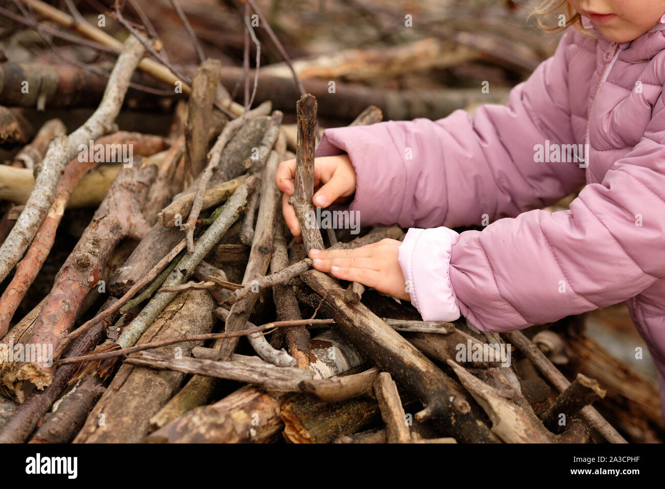 Den mittleren Abschnitt der ein 4 Jahre altes Kind Mädchen in Lila warme Kleidung etwas zu bauen mit Holz in den Wald zu einem Stimmungsvollen Tag im Oktober in Stockfoto