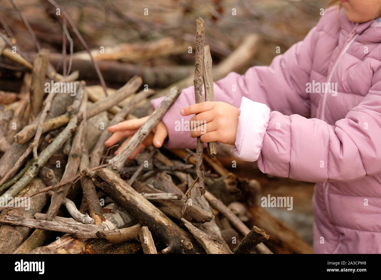 Den mittleren Abschnitt der ein 4 Jahre altes Kind Mädchen in Lila warme Kleidung etwas zu bauen mit Holz in den Wald zu einem Stimmungsvollen Tag im Oktober in Stockfoto