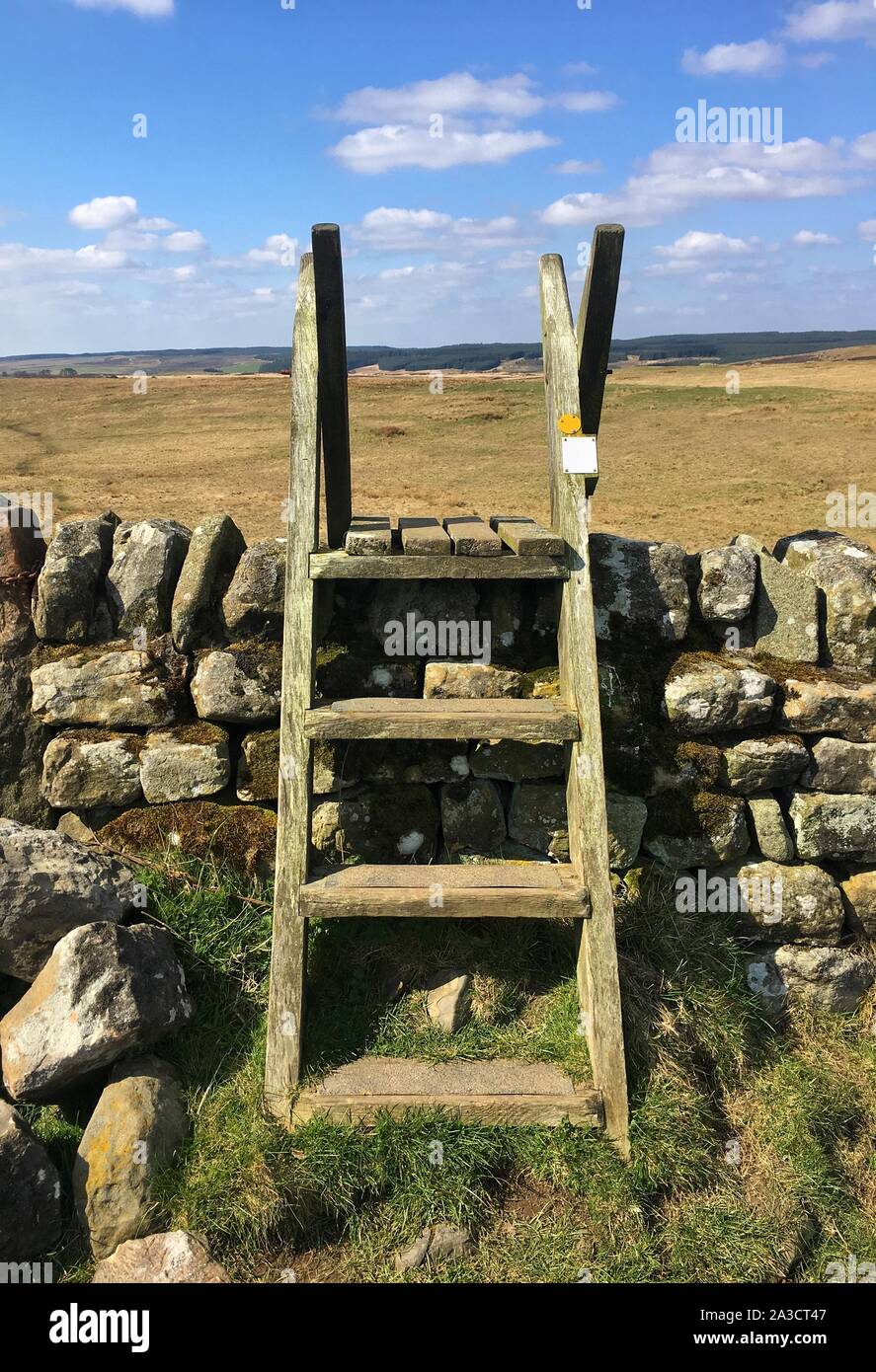 Holzleiter Stil über Dry Stone Wall, zu Fuß weg zu Haydon Bridge in der Nähe von Hadrians Wall, Northumberland National Park. Stockfoto