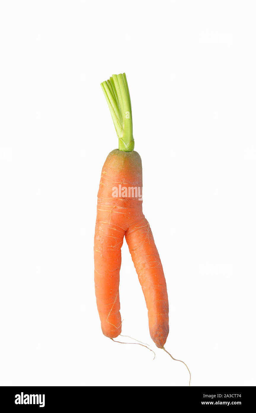 Lustig geformte Karotte auf weißem Hintergrund Stockfoto