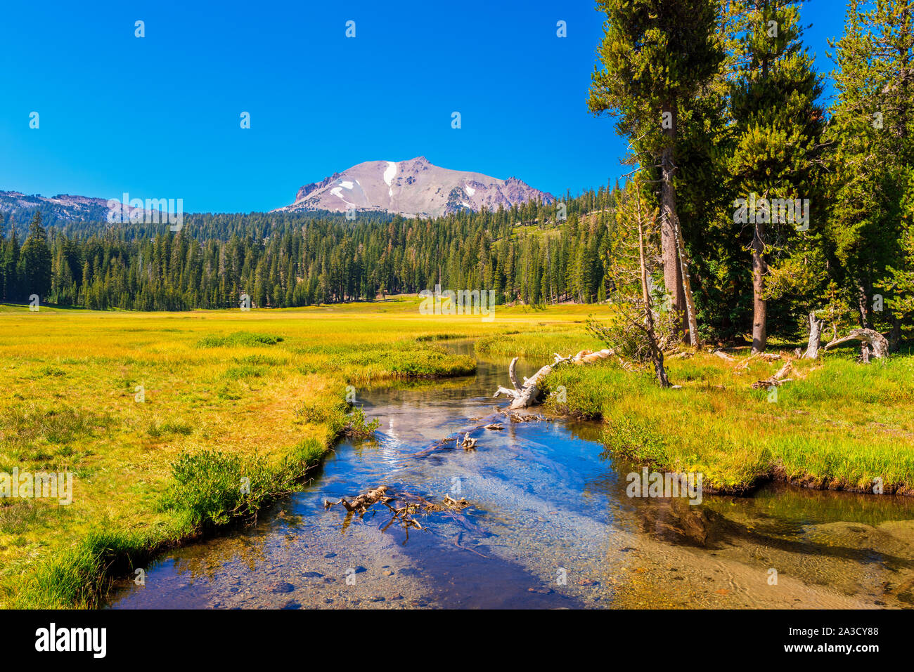 Creek in den Lassen Volcanic National Park Kalifornien USA Stockfoto