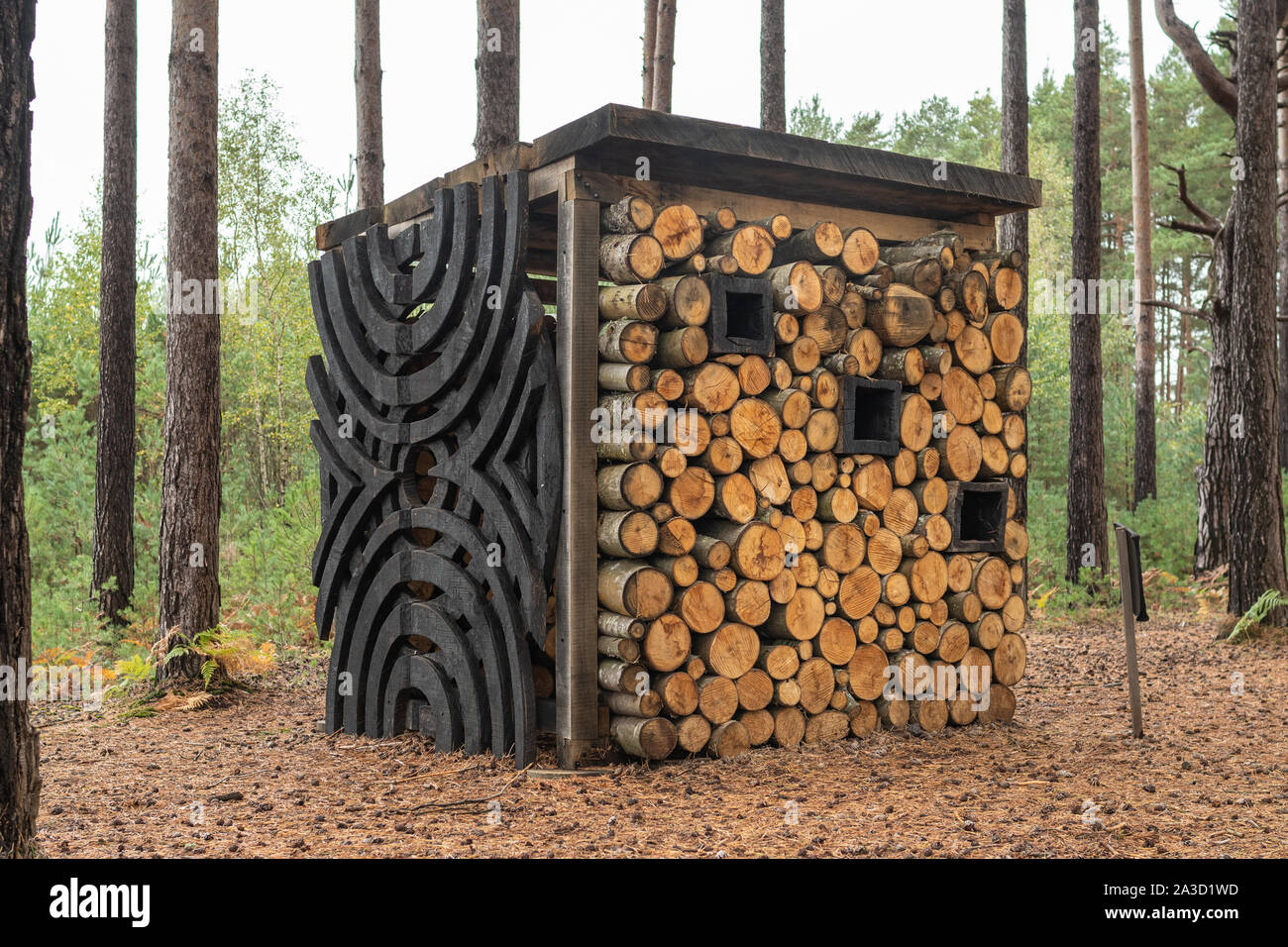 Das Haus von unsichtbaren Händen holz skulptur aus Eiche und Kastanie von Walter Bailey, Artwork bei RSPB Heide Farnham, Surrey, UK gebaut Stockfoto