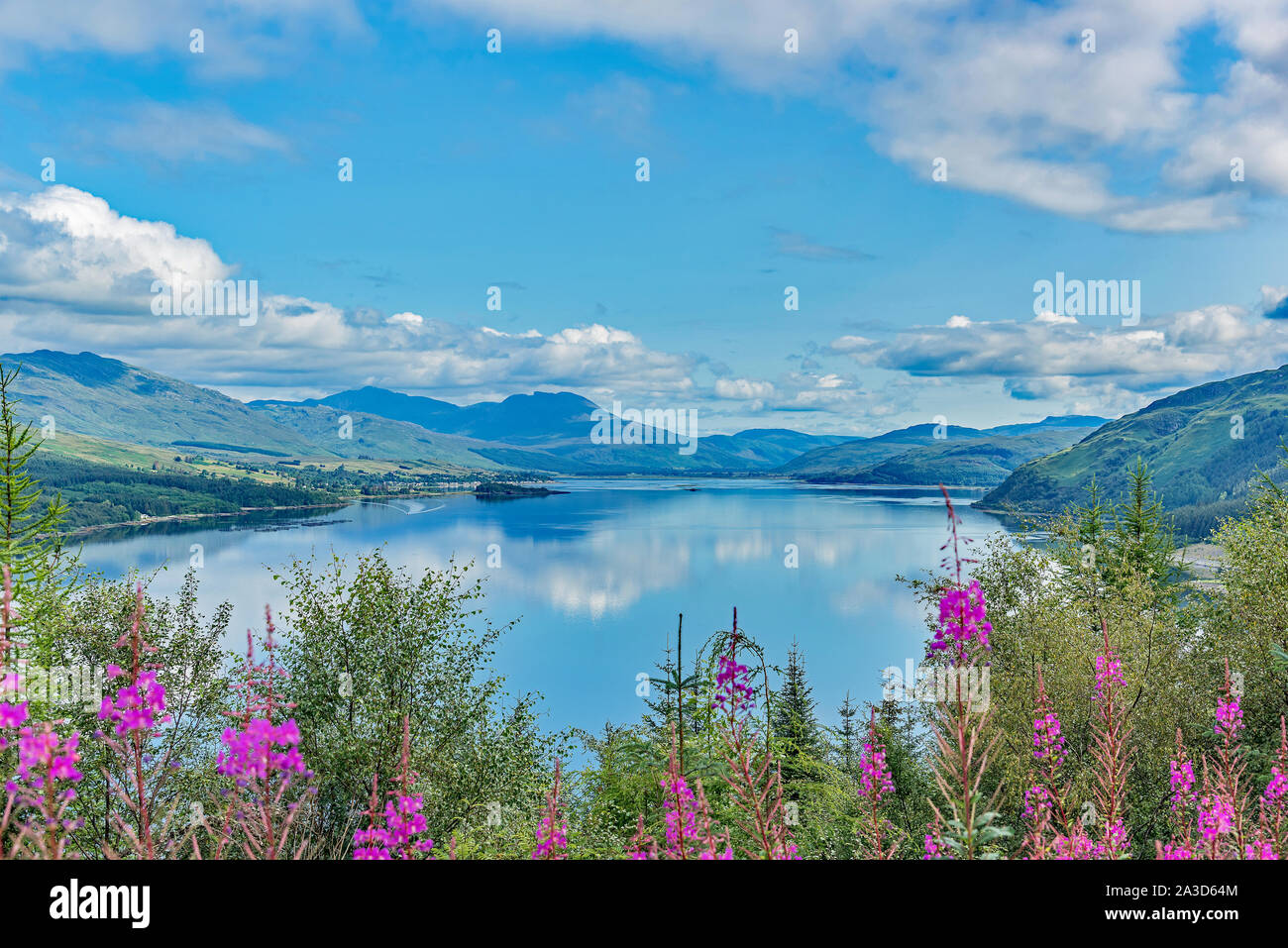Loch Carron, Schottland Stockfoto