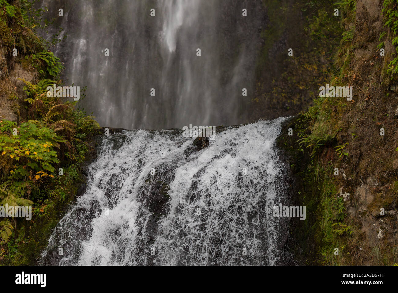 Oberen Teil der unteren Stufe der Multnomah Wasserfall bei Multnomah Creek in der Columbia River Gorge, Oregon Stockfoto