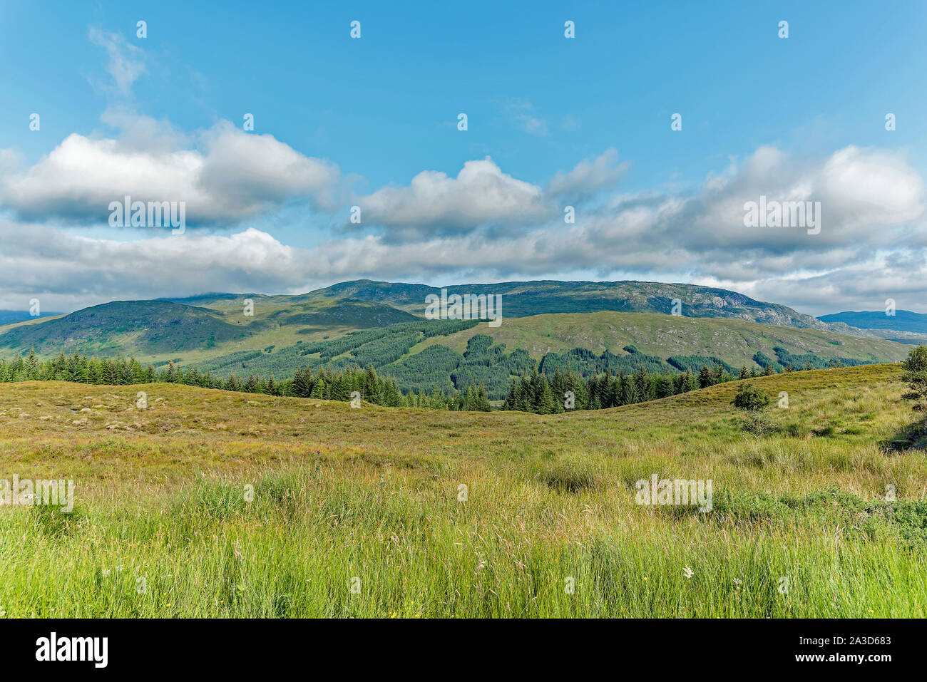 Highland Meadow View, Schottland Stockfoto