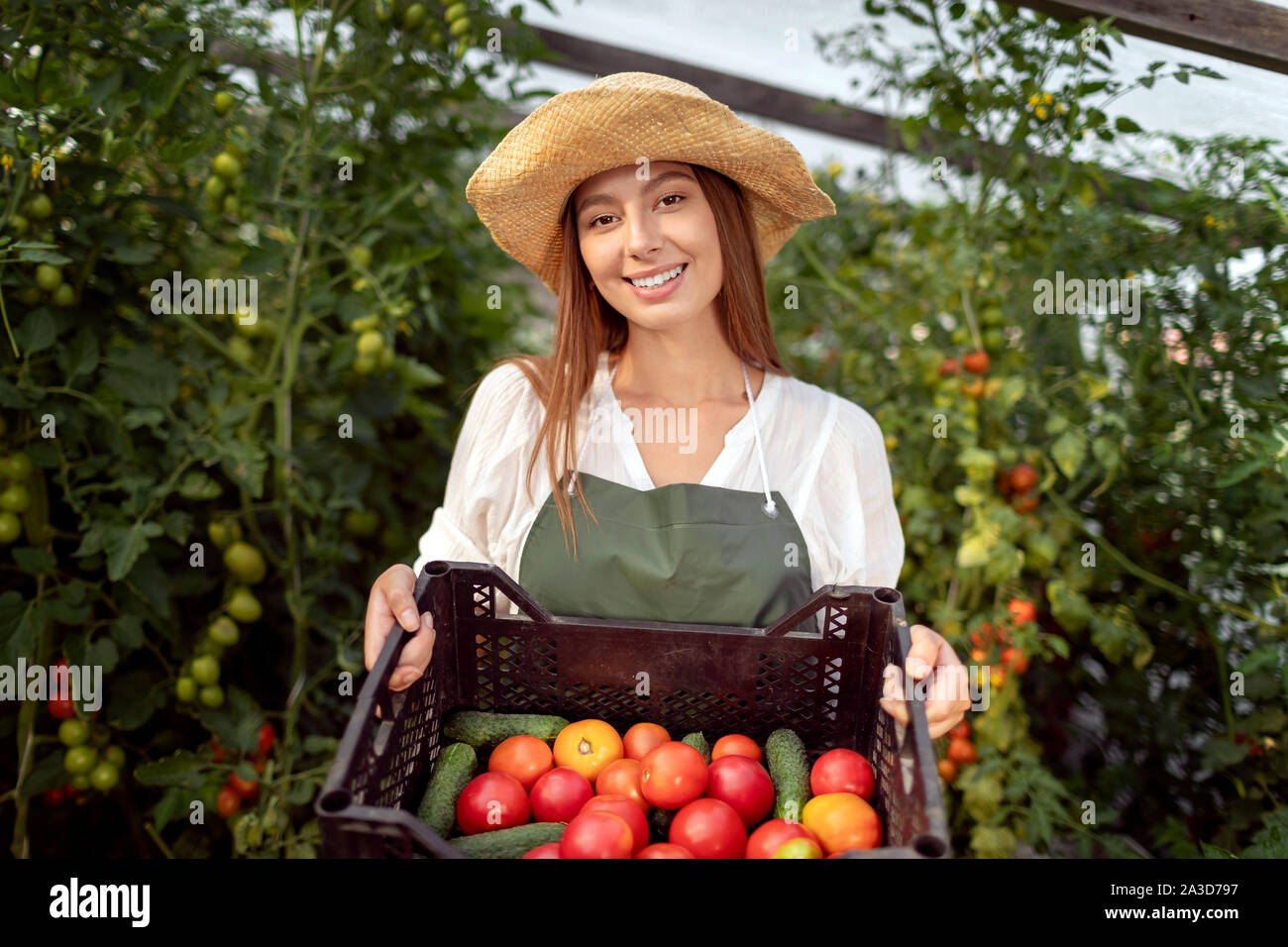 Junge weibliche landwirtschaftlichen Mitarbeiter demonstrieren eine Kiste Gemüse in einem Gewächshaus Stockfoto