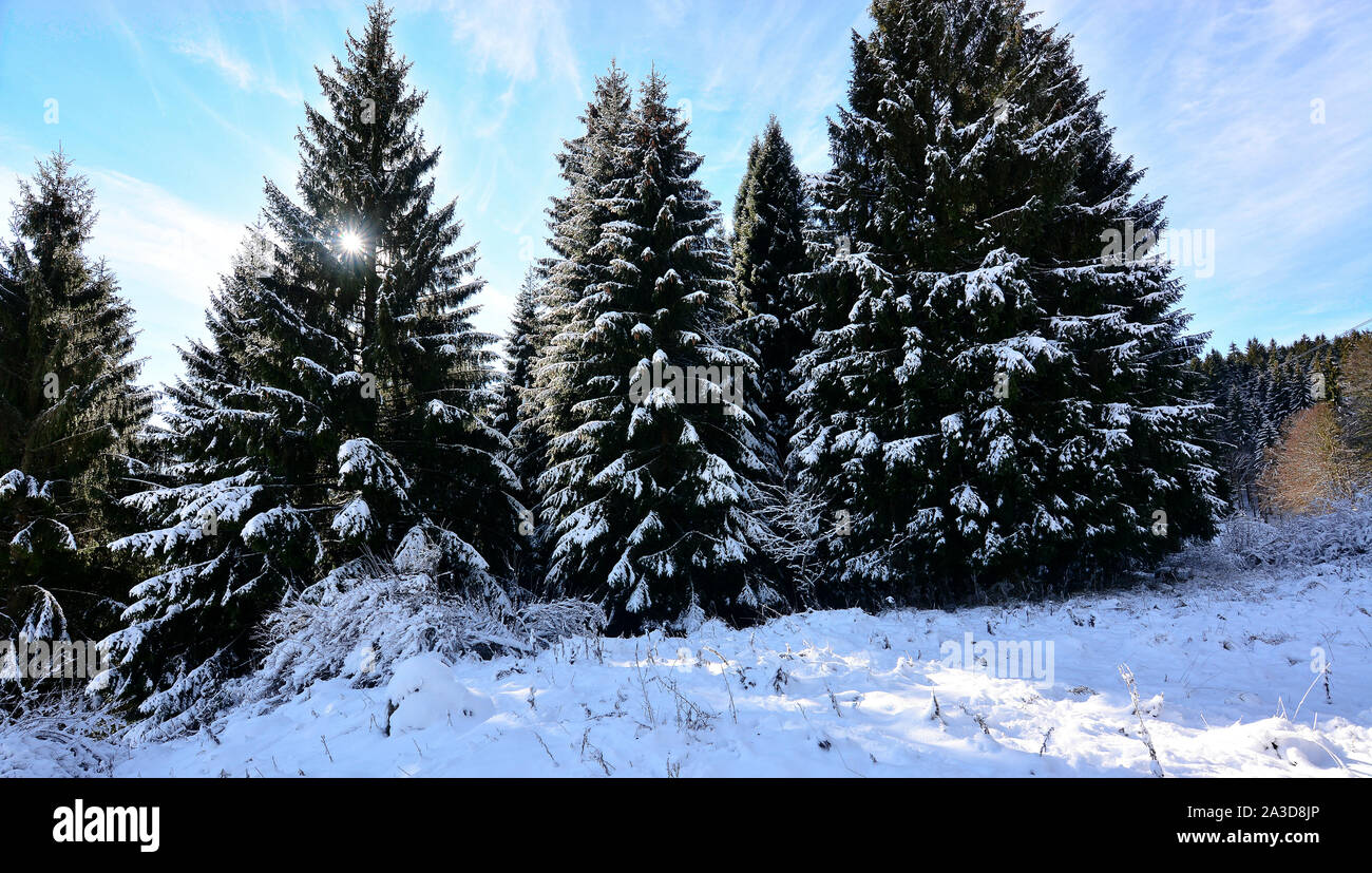 Der Schnee auf dem Cansignio-Plateau in der Provinz Belluno Italien Stockfoto