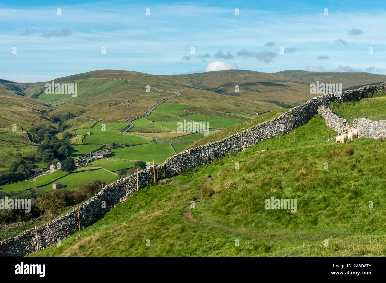 Auf Buttertubs Pass (berühmte Straße Radfahren Hill Climb) in Swaledale aus der Entfernung und viele alte Stein Scheunen, Yorkshire Dales National Park Stockfoto