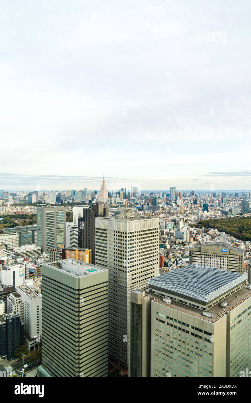 Blick vom Tokyo Metropolitan Gebäude nördlich Tower Observation Deck der Süd-östlich von Tokio mit der Kddi und Yoyogi Gebäude. Bedeckt. Negativer Platz. Stockfoto