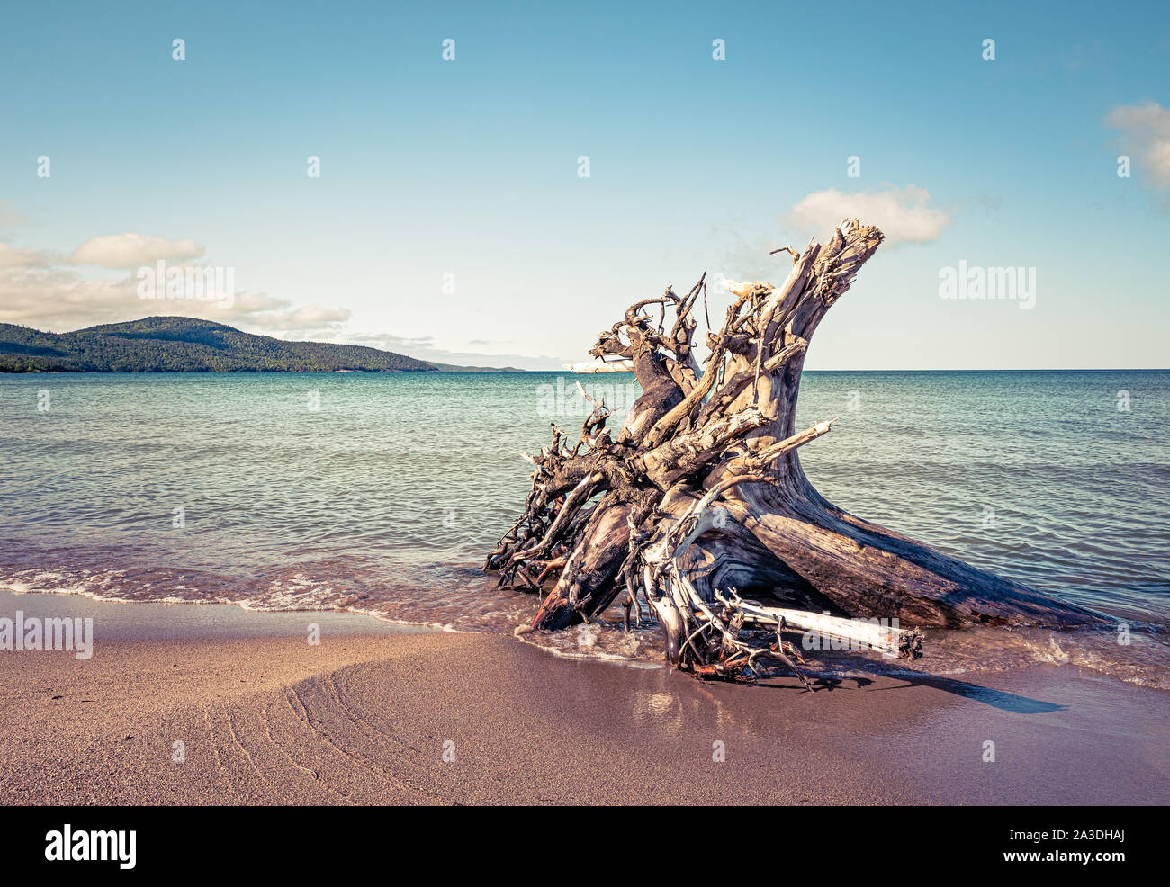 Treibholz am Strand von Lake Superior während einer sommerlichen Tag an Neys Provincial Park, Ontario, Kanada Stockfoto