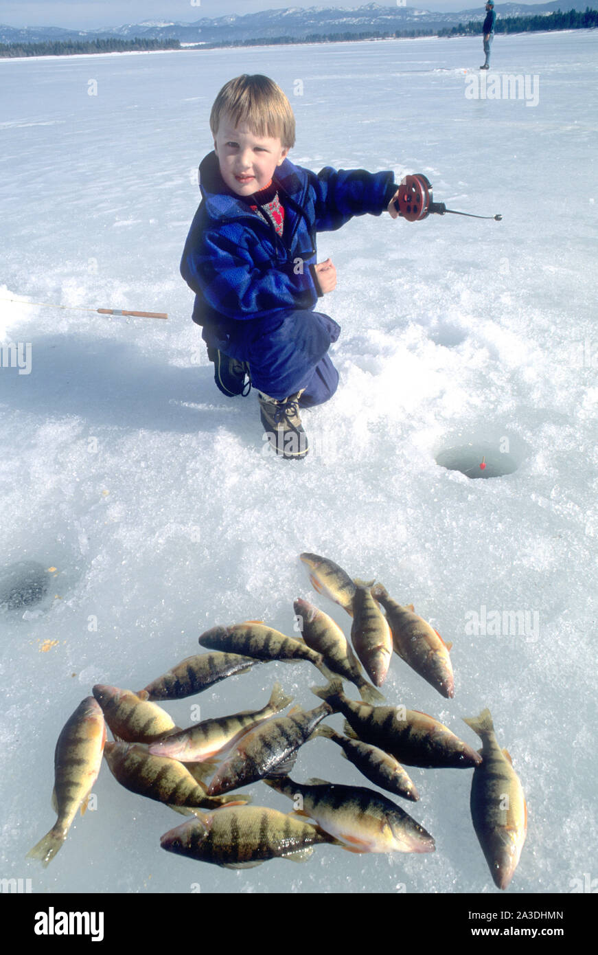 Junge Eis angeln mit gelber Barsch, dass er auf Cascade, Idaho (HERR) gefangen Stockfoto