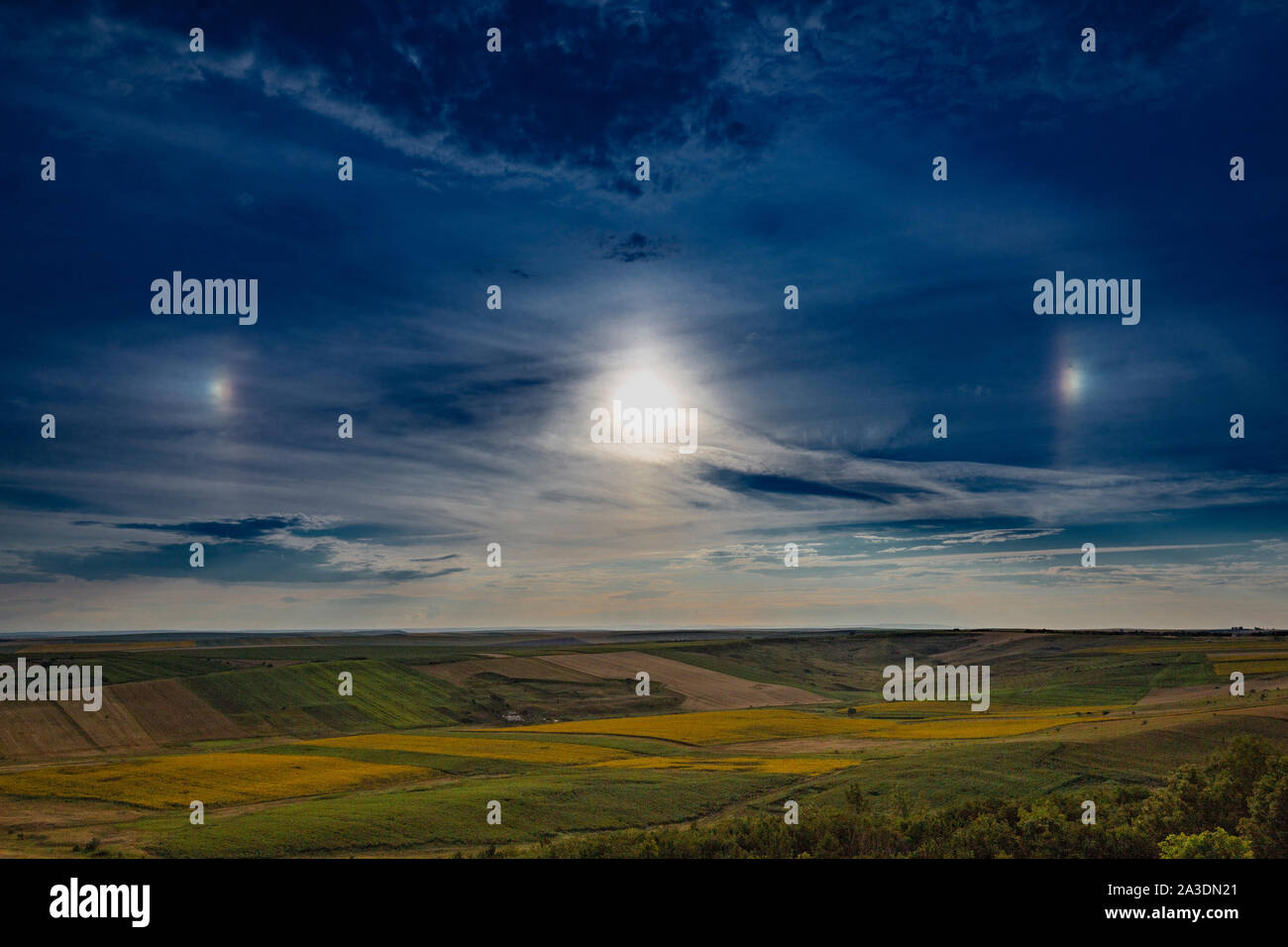 Sun Hund an einem Sommernachmittag, in der rumänischen Landschaft Stockfoto