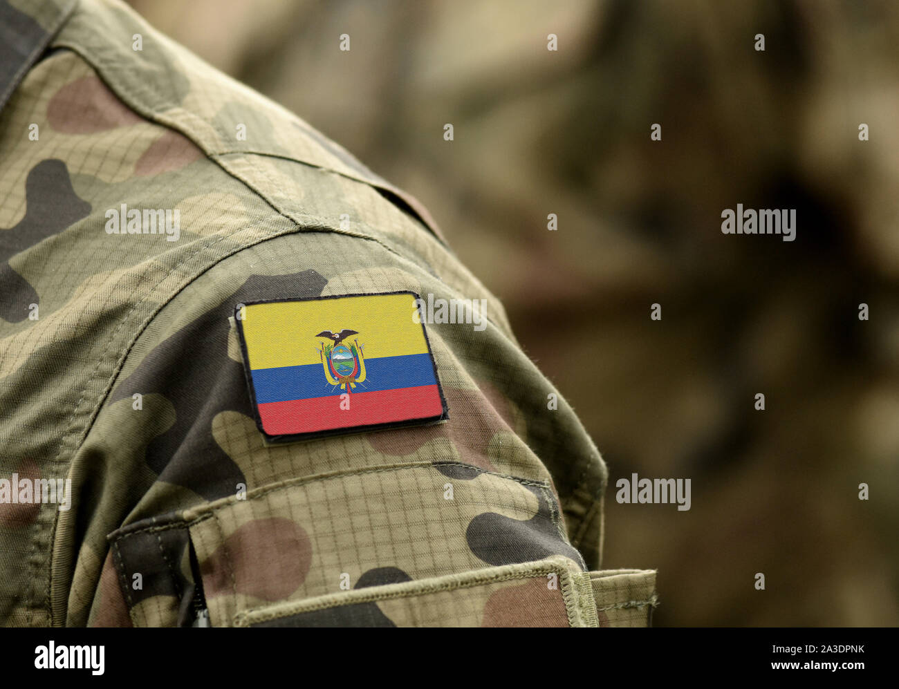 Flagge Ecuador auf militärischen Uniform (Collage). Stockfoto