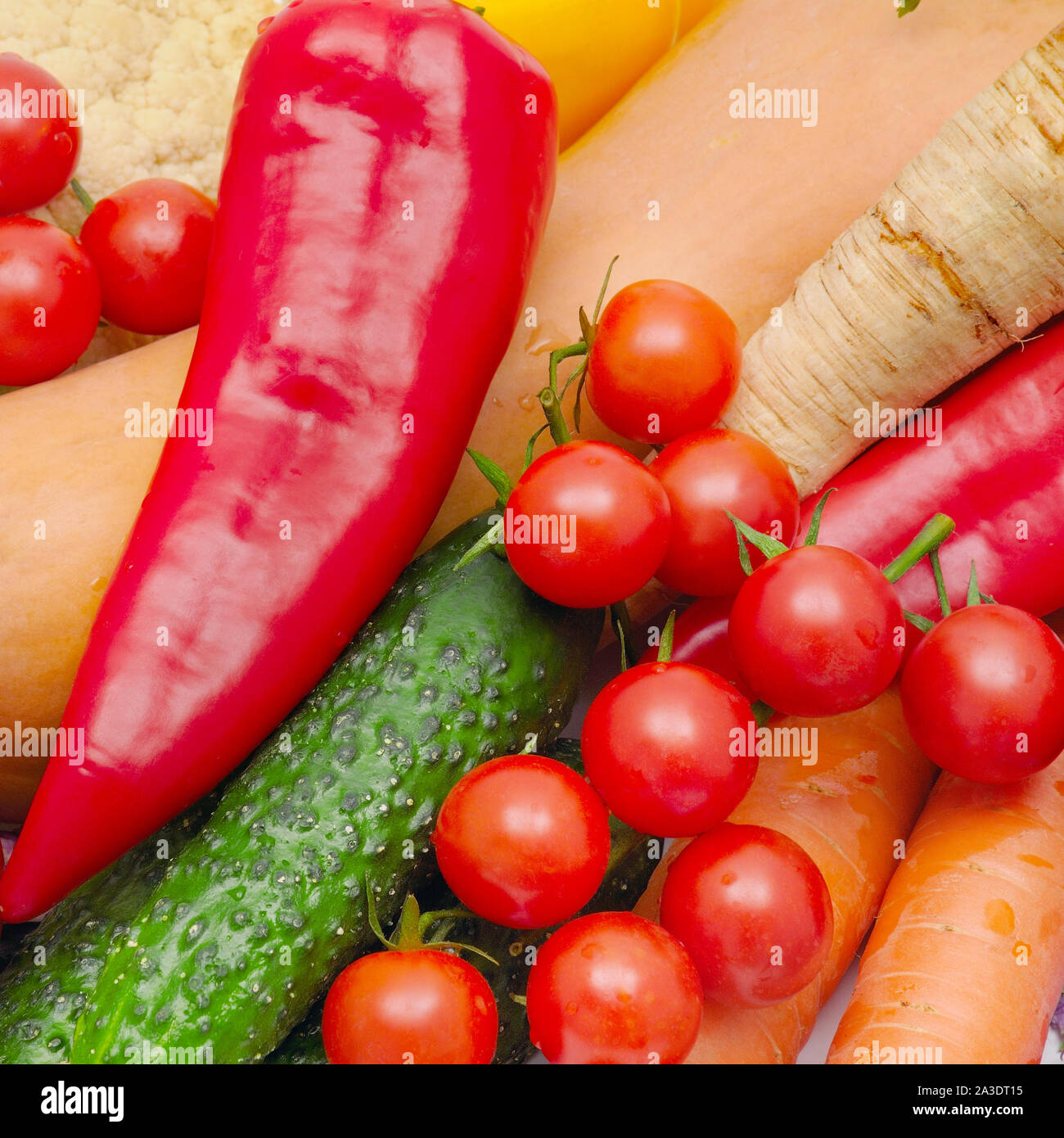 Heller Hintergrund von Reifen Gemüse und Kräuter Stockfoto