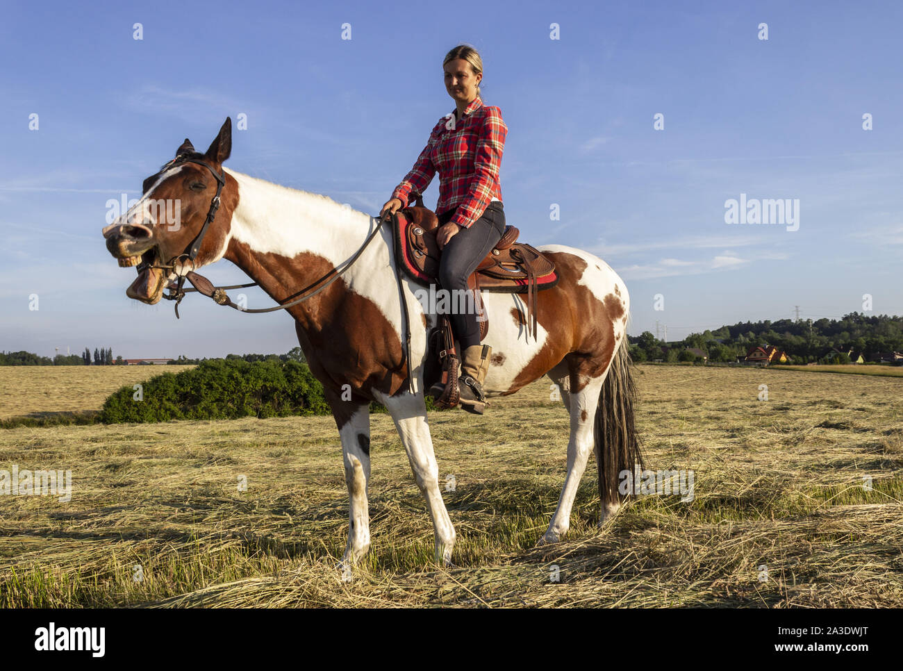 Lifestyle dame -Fotos und -Bildmaterial in hoher Auflösung – Alamy