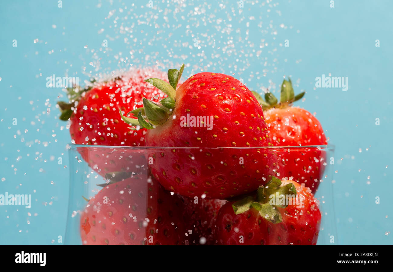 Nahaufnahme von einem Glas Erdbeeren mit Zucker bestreut mit einem blauen Hintergrund Stockfoto