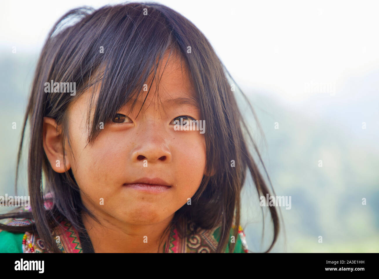 Vietnam Sa Pa Reisfeldern Menschen arbeiten auf den Garten. Mädchen 27-5-2019 Foto Jaco Klamer Stockfoto