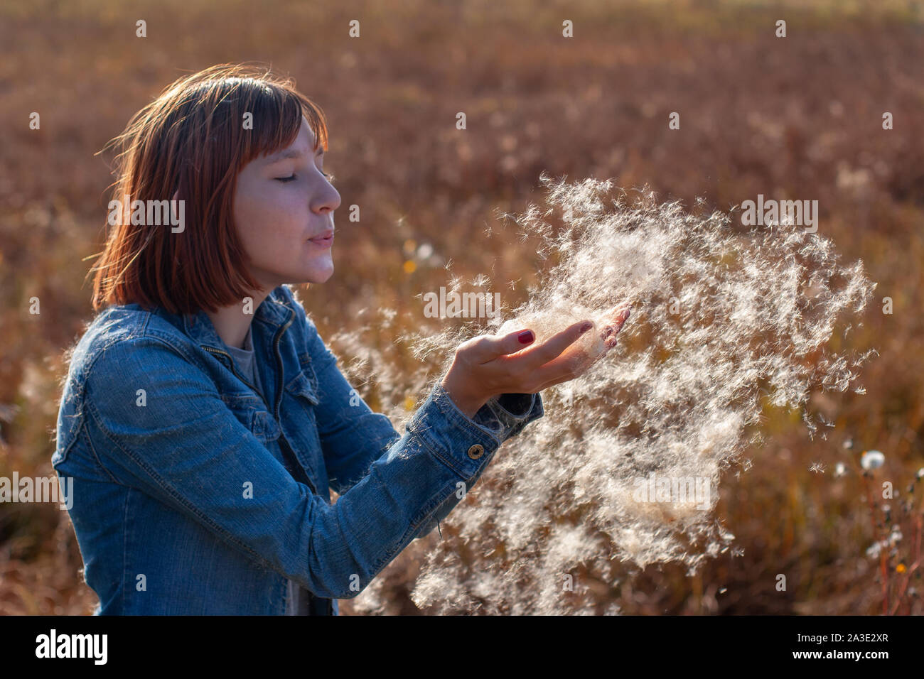 Ein Mädchen mit roten Haaren Schläge auf die Streuung fluff in den Händen. Selektiver Fokus auf Hände und Flaum. Die braunen Hintergrund ist unscharf. Stockfoto