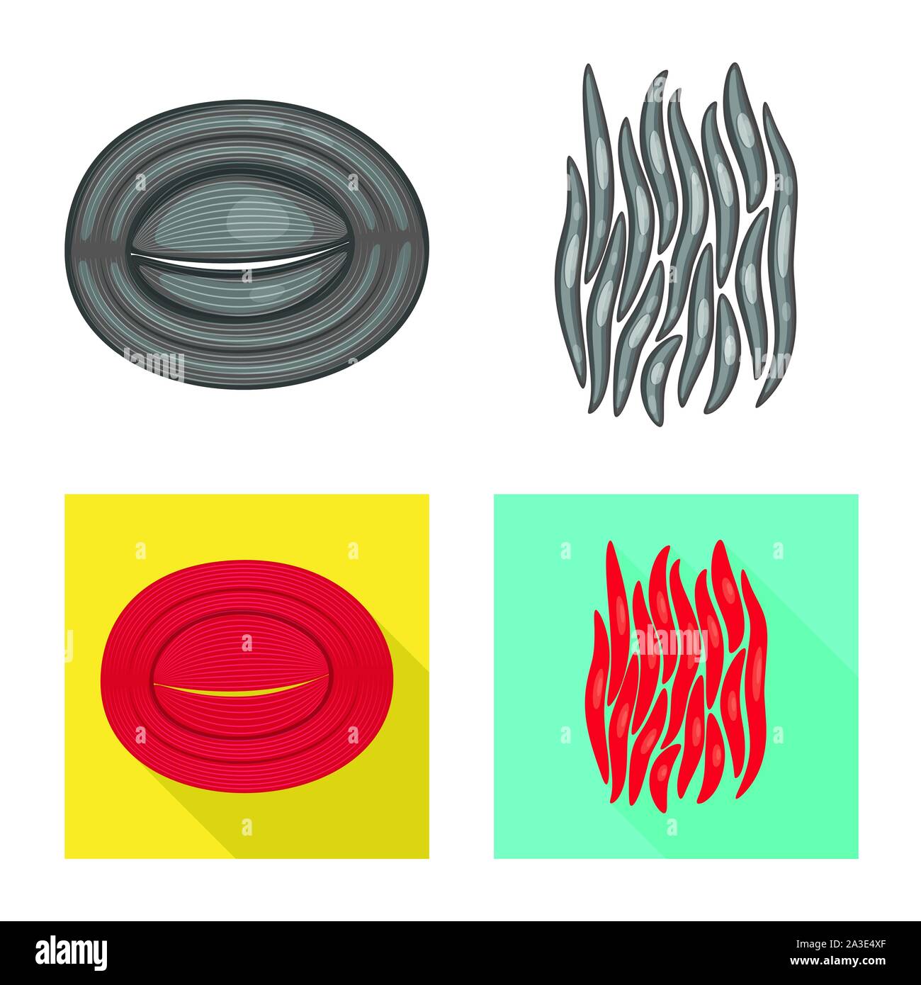 Vector Illustration der Faser und muskulös. Satz von Faser- und Körper Symbol für das Web. Stock Vektor