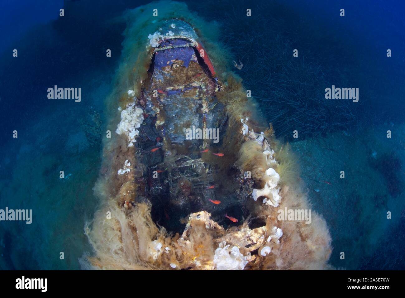 Cockpit, amerikanische Jagdflugzeug P47 Thunderbolt Wrack aus dem Zweiten Weltkrieg, Unterwasser Foto, Korsika, Frankreich Stockfoto