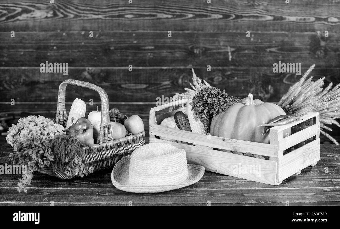 Tolles Essen für gesunde Lebensweise. gesundes Produkt. Harvest Festival. Korb mit Obst und Gemüse. reichen Herbst Ernte. saisonale Vitamin. Organische natürliche Nahrung. Halloween. Einkaufen im Supermarkt. Stockfoto