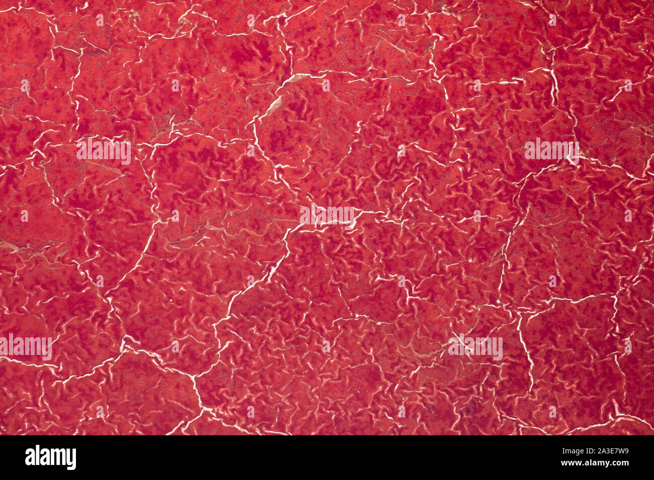Afrika, Tansania, Luftbild der Muster der roten Algen und Salz Formationen im flachen Salz Wasser des Lake Natron Stockfoto
