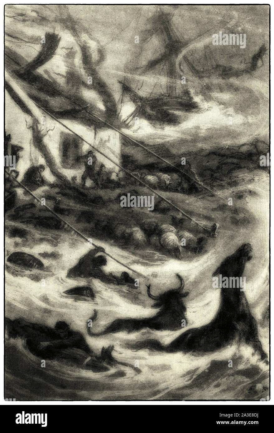 Zappelnder schoner Fotos und Bildmaterial in hoher Auflösung Alamy