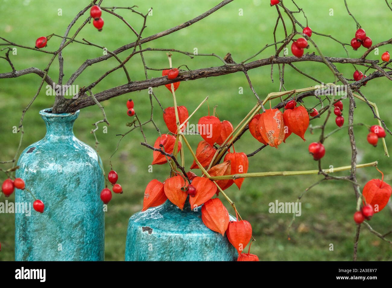 Herbst Anordnung in einer Keramik Vase, Hagebutten Beeren, Physalis alkekengi Stockfoto